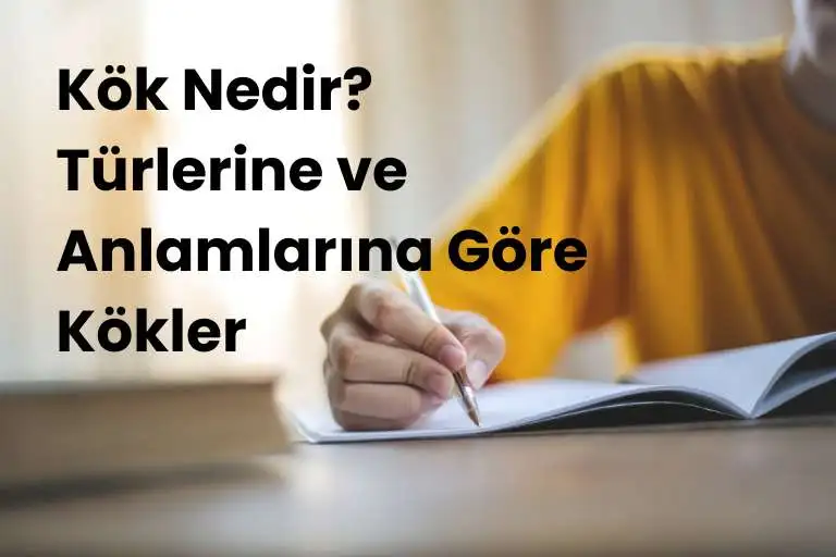 Kök nedir? Türlerine ve anlamlarına göre kökler