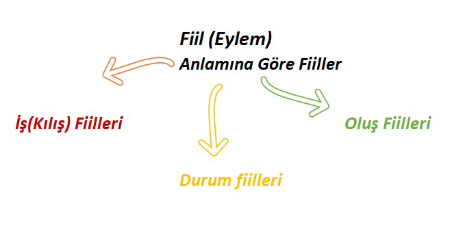 Anlamına göre fiiller